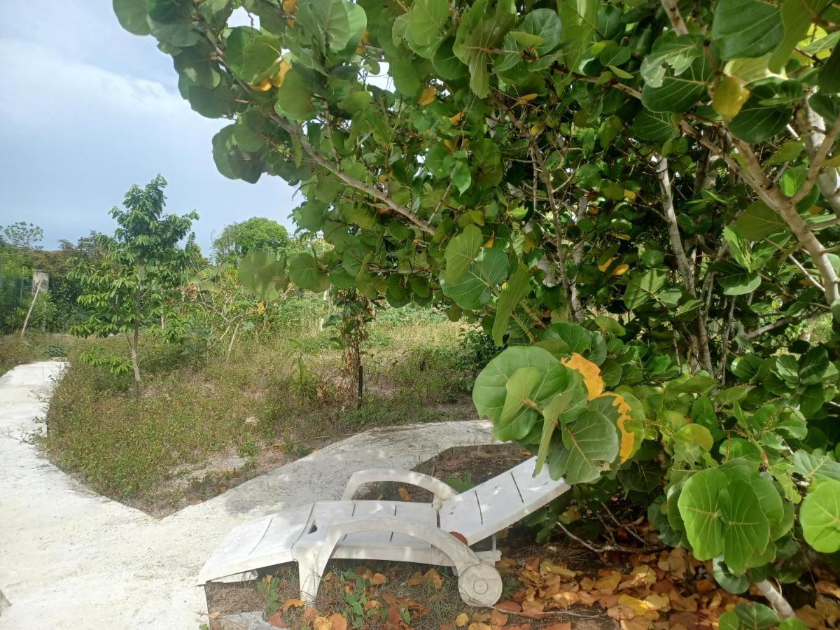 "Le Champs" Des Oiseaux Anse-Bertrand Exterior foto