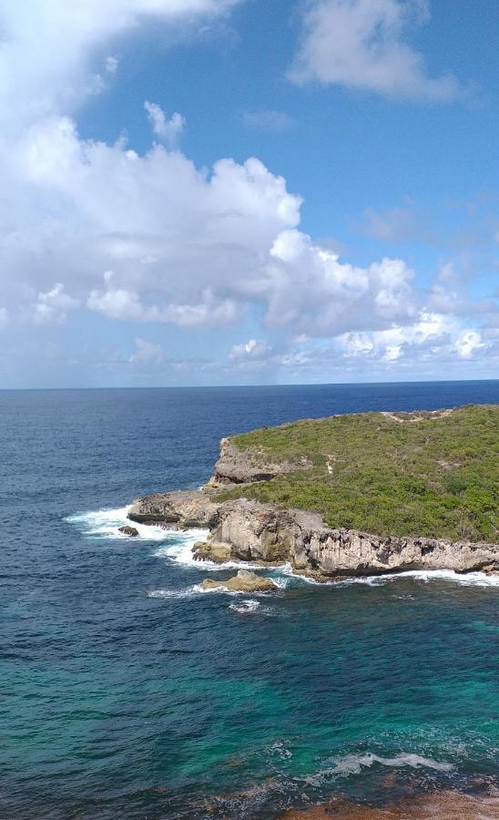 "Le Champs" Des Oiseaux Anse-Bertrand Exterior foto