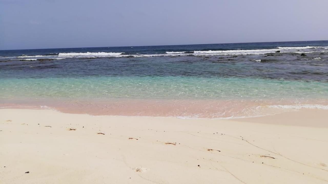 "Le Champs" Des Oiseaux Anse-Bertrand Exterior foto