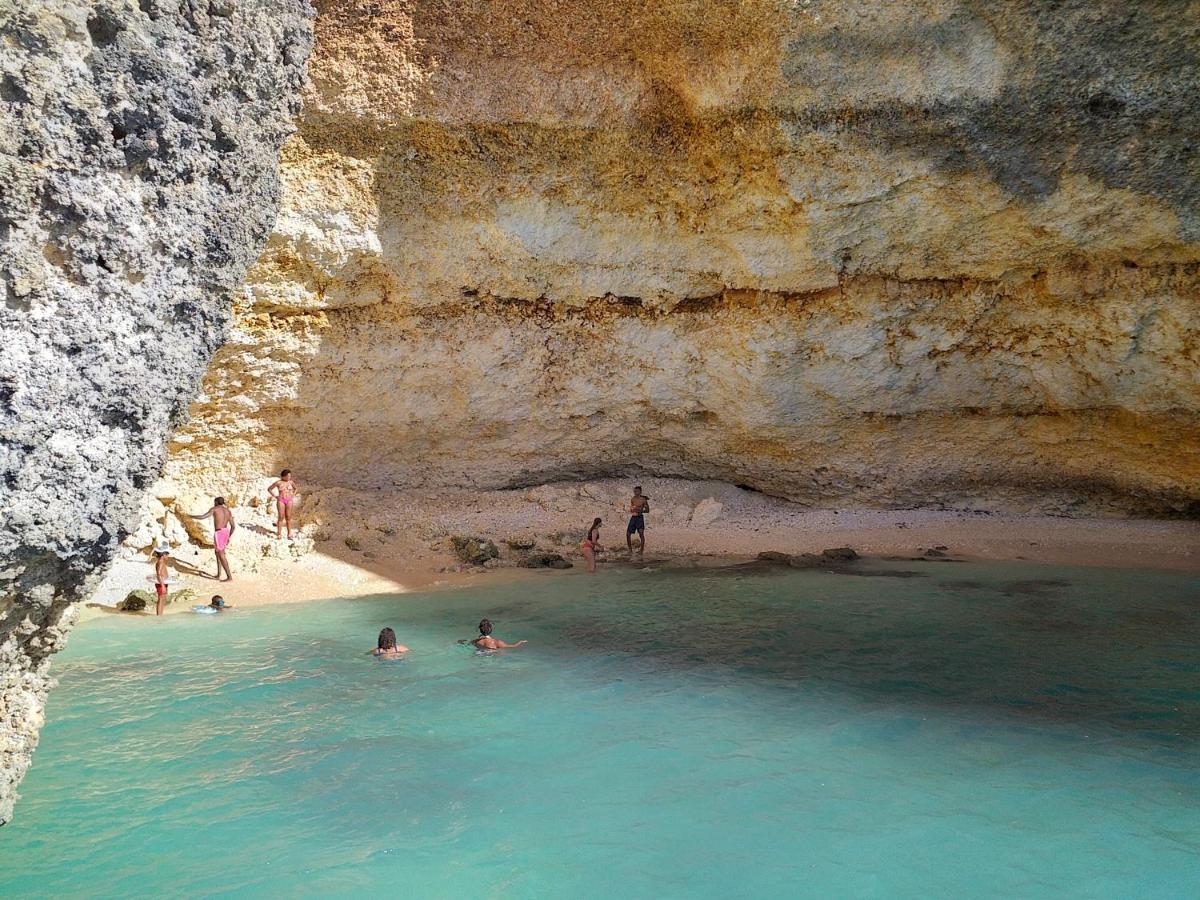 "Le Champs" Des Oiseaux Anse-Bertrand Exterior foto